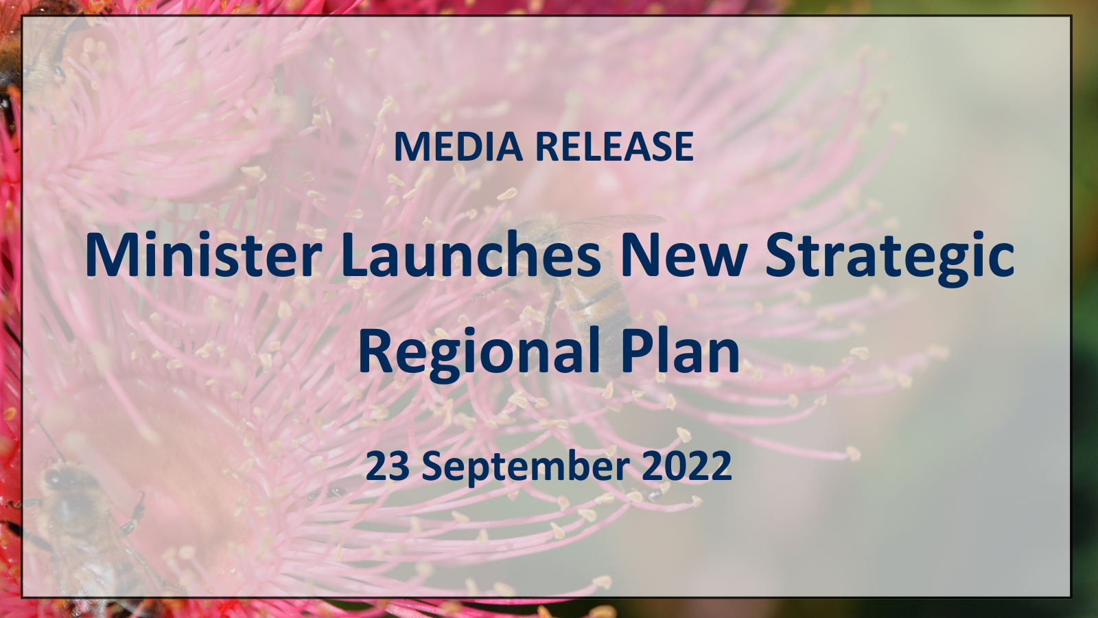 You are currently viewing Media Release: Minister Launches New Strategic Regional Plan